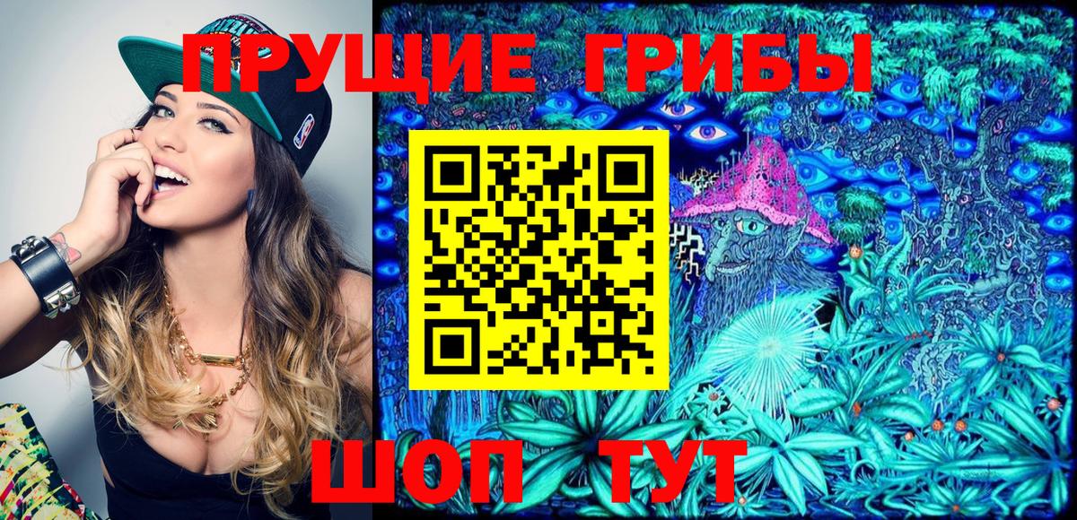Галлюциногенные грибы GOLDEN TEACHER Усть-Джегута