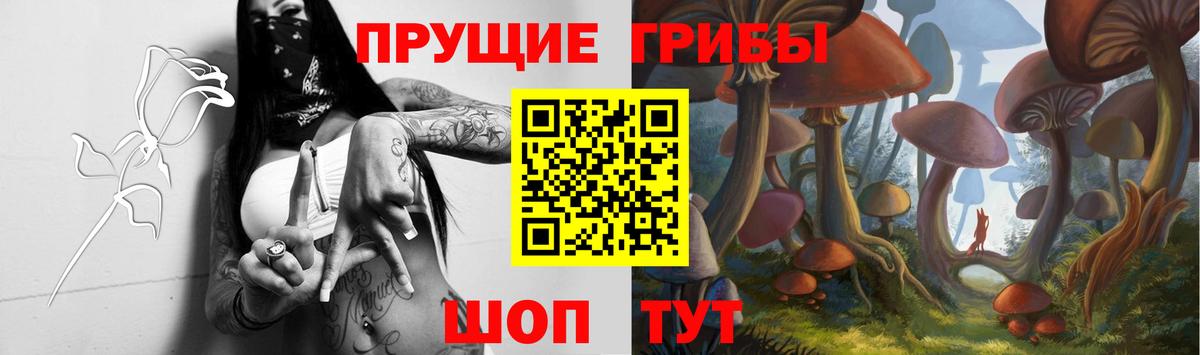 купить наркоту  Вход с VPN  Усть-Джегута  Псилоцибиновые грибы Magic Shrooms  Галлюциногенные грибы Cubensis 